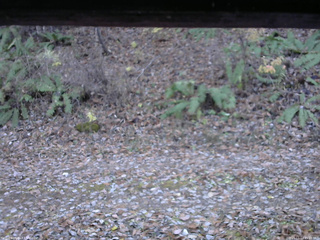 長野県菅平高原 ゆたか山荘 南側 2025/11/11 15:15
