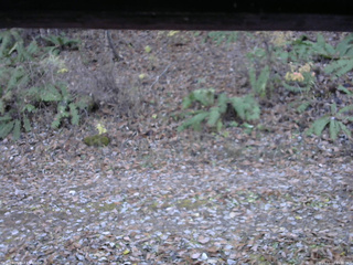 長野県菅平高原 ゆたか山荘 南側 2025/11/11 15:30