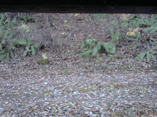 長野県菅平高原 ゆたか山荘 南側 2025/11/11 16:00