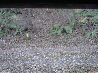 長野県菅平高原 ゆたか山荘 南側 2025/11/11 16:15