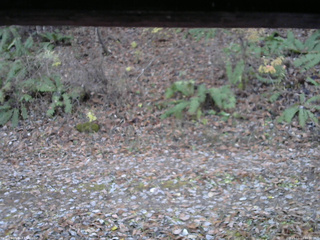 長野県菅平高原 ゆたか山荘 南側 2025/11/11 16:30