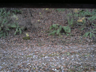 長野県菅平高原 ゆたか山荘 南側 2025/11/11 16:45