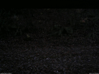 長野県菅平高原 ゆたか山荘 南側 2025/11/11 17:00