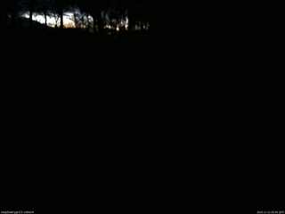 長野県菅平高原 ゆたか山荘 東側(坂下) 2025/11/11 05:45