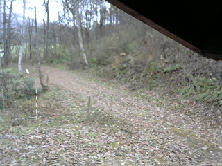 長野県菅平高原 ゆたか山荘 東側(坂下) 2025/11/11 12:45