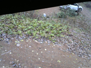 長野県菅平高原 ゆたか山荘 駐車場 2025/11/11 10:30