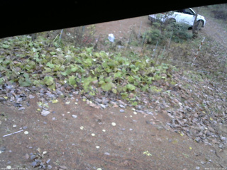 長野県菅平高原 ゆたか山荘 駐車場 2025/11/11 11:15