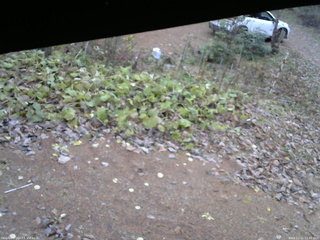 長野県菅平高原 ゆたか山荘 駐車場 2025/11/11 11:30