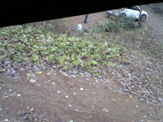 長野県菅平高原 ゆたか山荘 駐車場 2025/11/11 11:45