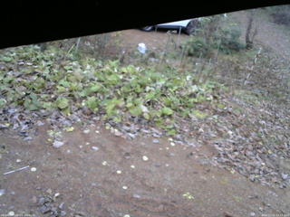 長野県菅平高原 ゆたか山荘 駐車場 2025/11/11 13:15
