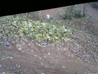 長野県菅平高原 ゆたか山荘 駐車場 2025/11/11 13:45