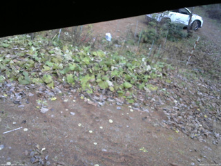 長野県菅平高原 ゆたか山荘 駐車場 2025/11/11 14:00