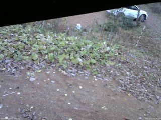 長野県菅平高原 ゆたか山荘 駐車場 2025/11/11 14:15