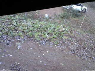 長野県菅平高原 ゆたか山荘 駐車場 2025/11/11 14:45