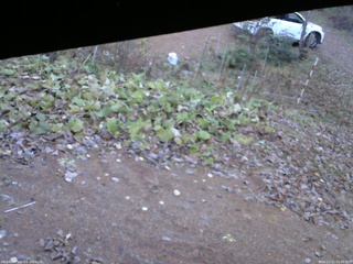 長野県菅平高原 ゆたか山荘 駐車場 2025/11/11 15:00