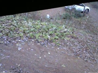長野県菅平高原 ゆたか山荘 駐車場 2025/11/11 15:15
