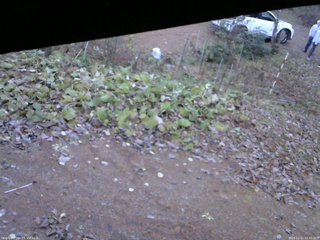 長野県菅平高原 ゆたか山荘 駐車場 2025/11/11 15:30