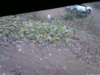 長野県菅平高原 ゆたか山荘 駐車場 2025/11/11 15:45
