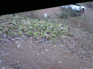 長野県菅平高原 ゆたか山荘 駐車場 2025/11/11 16:00