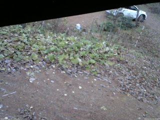 長野県菅平高原 ゆたか山荘 駐車場 2025/11/11 16:30