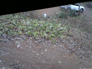 長野県菅平高原 ゆたか山荘 駐車場 2025/11/11 16:45