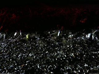 長野県菅平高原 ゆたか山荘 南側 2025/11/12 05:15