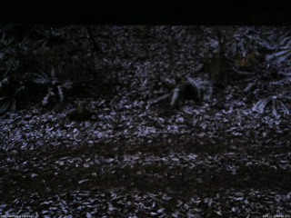 長野県菅平高原 ゆたか山荘 南側 2025/11/12 06:00