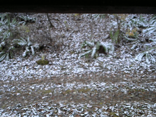 長野県菅平高原 ゆたか山荘 南側 2025/11/12 06:15