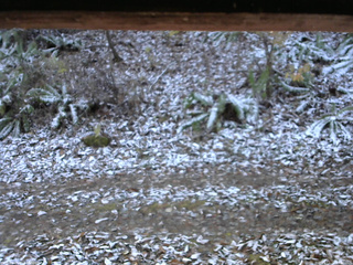 長野県菅平高原 ゆたか山荘 南側 2025/11/12 07:00