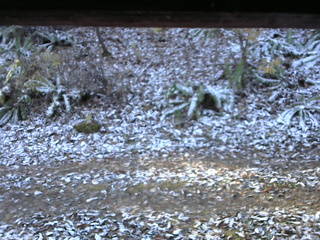 長野県菅平高原 ゆたか山荘 南側 2025/11/12 07:45