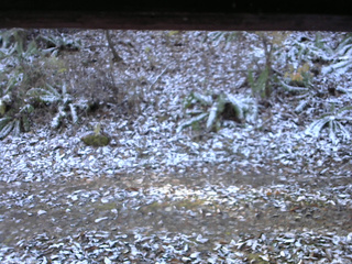 長野県菅平高原 ゆたか山荘 南側 2025/11/12 08:00