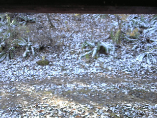 長野県菅平高原 ゆたか山荘 南側 2025/11/12 08:30