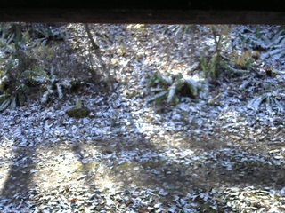 長野県菅平高原 ゆたか山荘 南側 2025/11/12 10:00