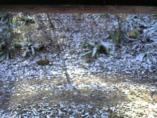長野県菅平高原 ゆたか山荘 南側 2025/11/12 10:15