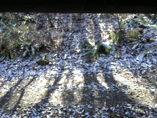 長野県菅平高原 ゆたか山荘 南側 2025/11/12 11:15