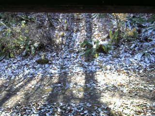 長野県菅平高原 ゆたか山荘 南側 2025/11/12 11:30