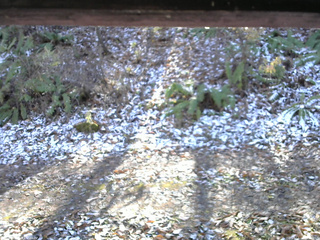 長野県菅平高原 ゆたか山荘 南側 2025/11/12 12:00