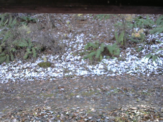 長野県菅平高原 ゆたか山荘 南側 2025/11/12 13:00