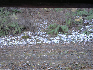 長野県菅平高原 ゆたか山荘 南側 2025/11/12 14:00