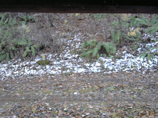 長野県菅平高原 ゆたか山荘 南側 2025/11/12 14:15