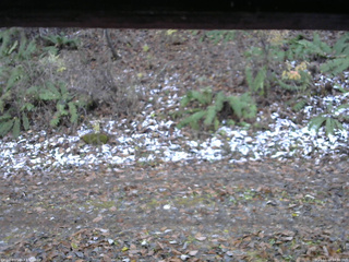 長野県菅平高原 ゆたか山荘 南側 2025/11/12 14:30