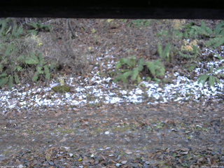 長野県菅平高原 ゆたか山荘 南側 2025/11/12 15:30
