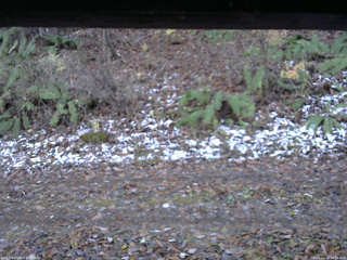長野県菅平高原 ゆたか山荘 南側 2025/11/12 16:15