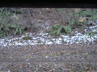 長野県菅平高原 ゆたか山荘 南側 2025/11/12 16:30