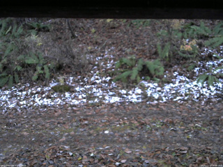長野県菅平高原 ゆたか山荘 南側 2025/11/12 16:45