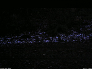 長野県菅平高原 ゆたか山荘 南側 2025/11/12 17:00