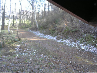長野県菅平高原 ゆたか山荘 東側(坂下) 2025/11/12 12:45