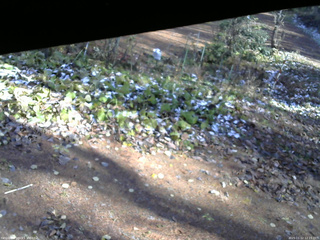 長野県菅平高原 ゆたか山荘 駐車場 2025/11/12 12:15