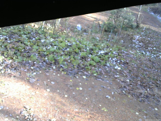 長野県菅平高原 ゆたか山荘 駐車場 2025/11/12 12:45