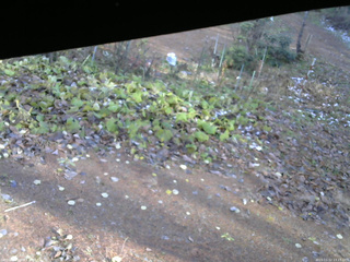 長野県菅平高原 ゆたか山荘 駐車場 2025/11/12 13:15